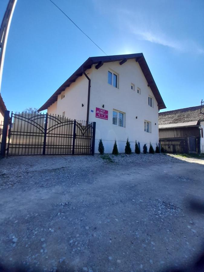 فندق Casa Arabela Vişeu de Sus المظهر الخارجي الصورة