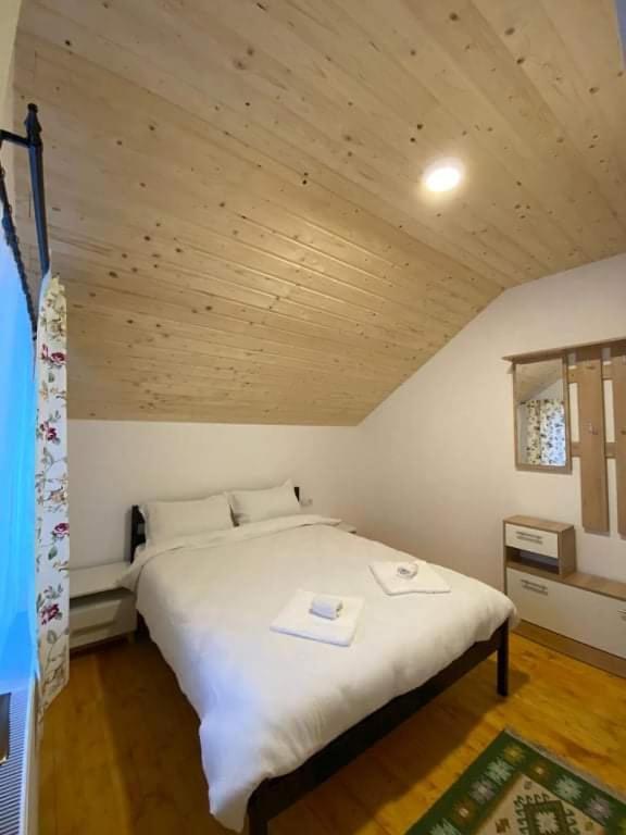 فندق Casa Arabela Vişeu de Sus المظهر الخارجي الصورة